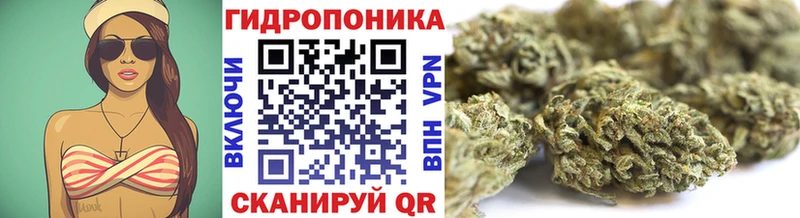 Цена Сунжа blacksprut   Бошки Шишки  А ПВП 