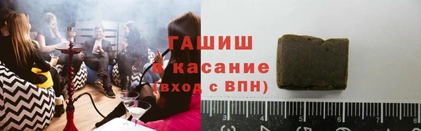 стаф Козельск