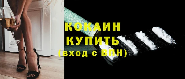 стаф Козельск
