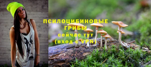 спайс Коряжма