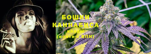 стаф Козельск