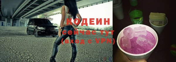 стаф Козельск