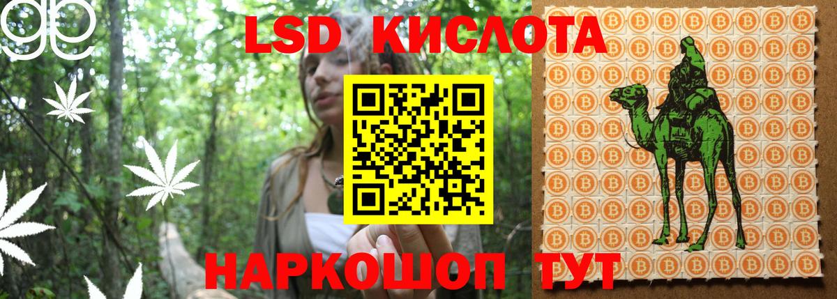 Сунжа  Марки NBOMe 1,5мг  Марки 25I-NBOMe  Марки NBOMe 1,5мг  Вход с VPN 