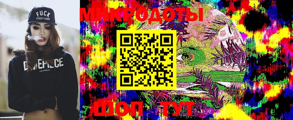 Псилоцибиновые грибы Psilocybine cubensis  Вход с VPN  Сунжа 