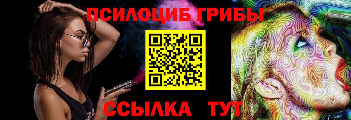 Псилоцибиновые грибы мицелий  Сунжа  Галлюциногенные грибы мицелий 